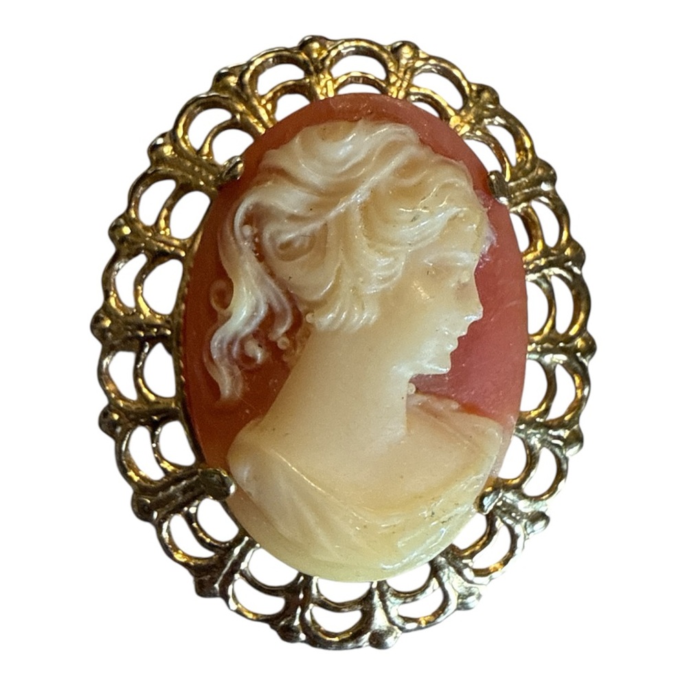 Cameo Brooch and Earrings